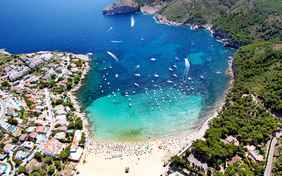 Durch den Pinienwald führt ein Pfad zum Strand. - Foto: Toni Leon